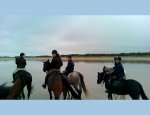 Photo CENTRE EQUESTRE DE MACHECOUL