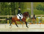 JOUBERT BEATRICE - GYMNASTIQUE DRESSAGE Mauguio
