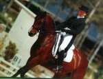 Photo JOUBERT BEATRICE - GYMNASTIQUE DRESSAGE
