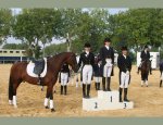 Photo JOUBERT BEATRICE - GYMNASTIQUE DRESSAGE