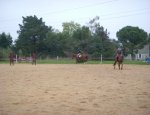Y-D HORSES PENSIONS Ambarès-et-Lagrave