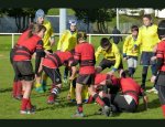 RUGBY LANESTER LOCUNEL 56600
