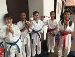 KIKENTAI KARATE SAINT LEU 95320