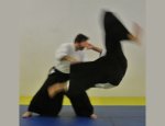 TAKEMUSU AIKIDO MONTPELLIER Montpellier