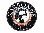 Photo NARBONNE VOLLEY