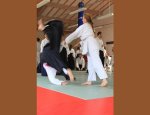 ACADEMIE D'AIKIDO DES TROIS PINS 13710