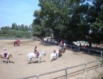 Photo UDSIS EQUESTRE