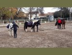 Photo UDSIS EQUESTRE