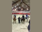USCB EQUITATION Bois-Guillaume
