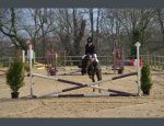 HARAS DE LA SALMONIERE (CENTRE EQUESTRE-ÉLEVAGE) Le Fuilet