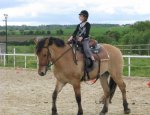 Photo HARAS DE LA SALMONIERE (CENTRE EQUESTRE-ÉLEVAGE)