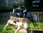 Photo CENTRE EQUESTRE PONEY-CLUB LA FOUCHERAIE