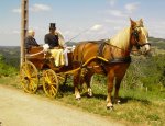 Photo ECURIE D'ATTELAGE LA COMBE DU PUY
