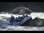 FROGS RAFTING 74430
