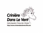 CRINIERE DANS LE VENT La Chapelle-Moutils