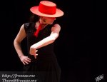 ASSOCIATION AL GOLPE - FLAMENCO Rennes