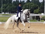 Photo FÉDÉRATION DE DRESSAGE ARTISTIQUE