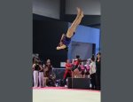 CLUB GYMNASTIQUE DE BONNEVEINE 13008