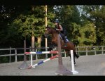 ECURIES DU PONEY D'OR Brou-sur-Chantereine