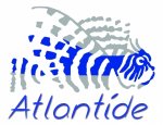 ATLANTIDE PLONGEE 31000