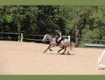 CAVALIERS DU DOMAINE EQUESTRE DE SAINT PAUL 83440